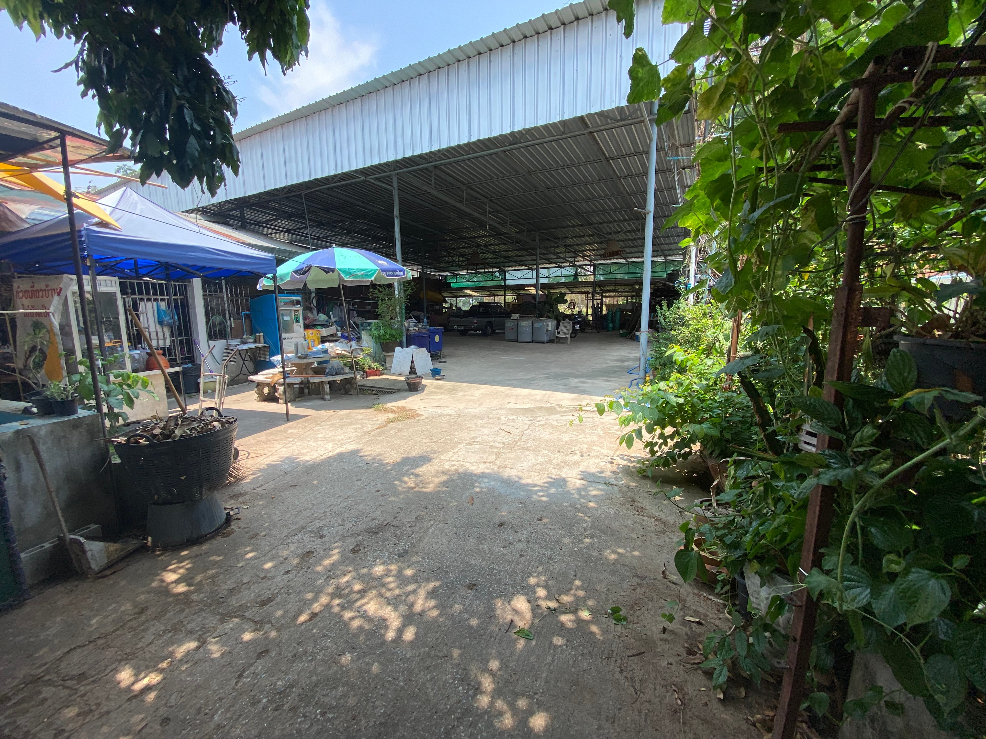 ขายอาคาร 2 หลัง สิ่งปลูกสร้างโกดัง 1 แห่ง  ร้านค้า 2 ร้าน และที่ดิน มีที่งอกเกินคุ้ม