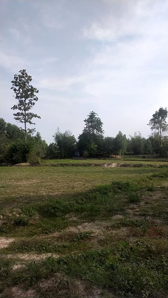 ที่ดิน ใกล้ห้วยมีน้ำทั้งปี ตาลสุม อุบลราชธานี 20 ไร่