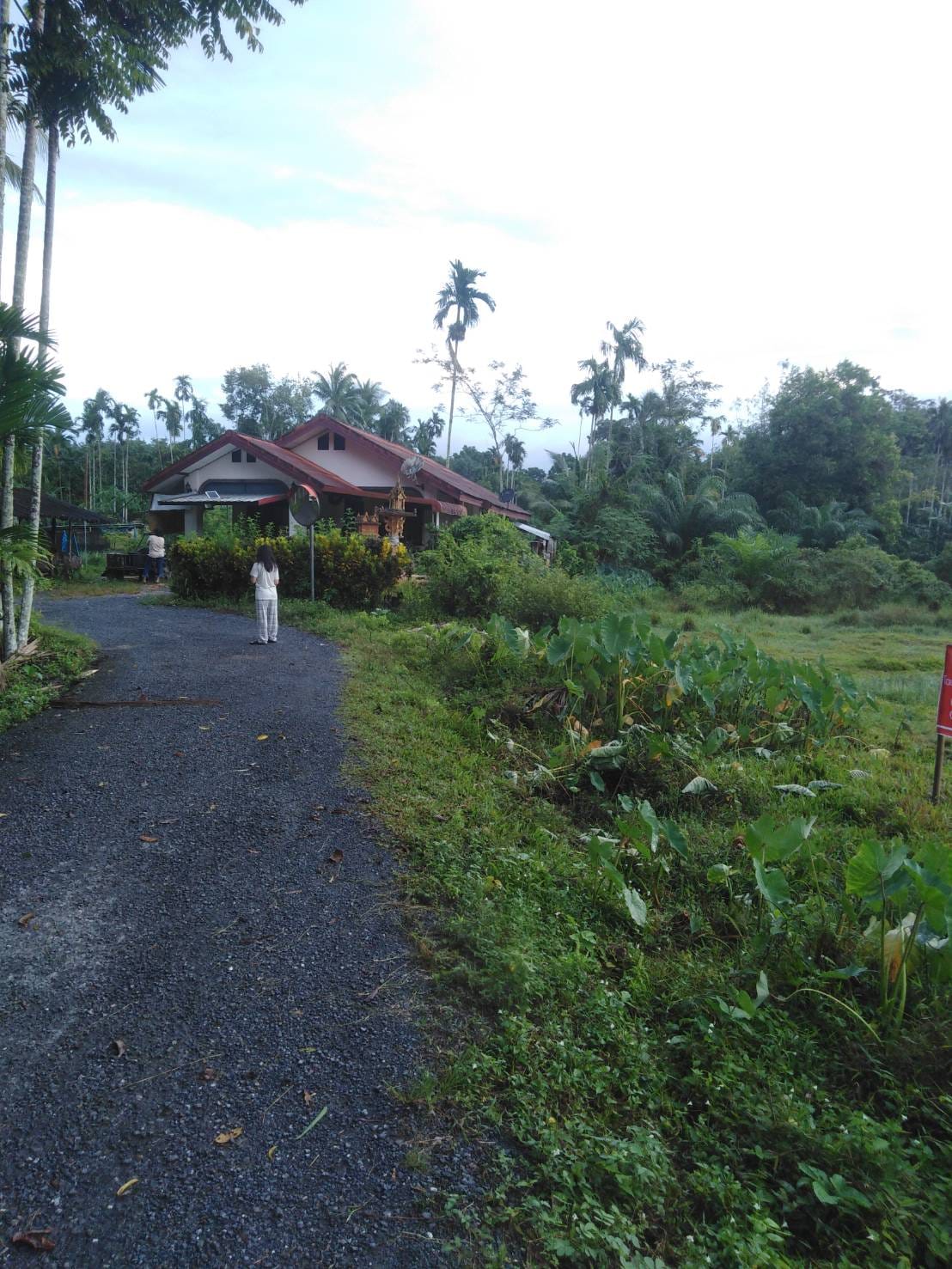 ที่ดินทำเลดี ใกล้เมืองทุ่งสง  นครศรีธรรมราช 7-2-49.2