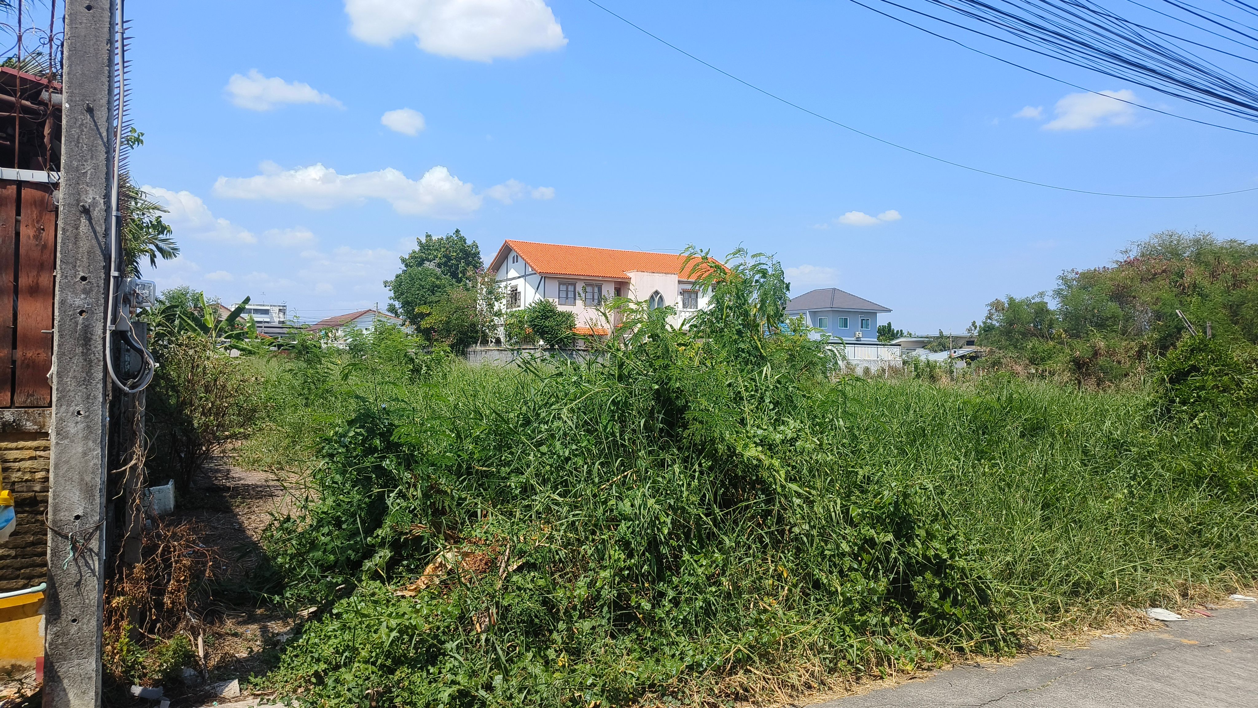 ขายถูกที่ดินแปลงเล็ก พื้นที่บางเขน