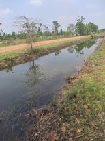ที่ดินหน้าศาลแขวง ปากท่อ ราชบุรี  60 ไร่