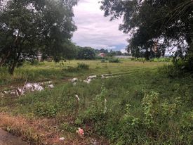 ขายที่ดิน ใกล้ ม.แม่ฟ้าหลวง เชียงราย 2 ไร่