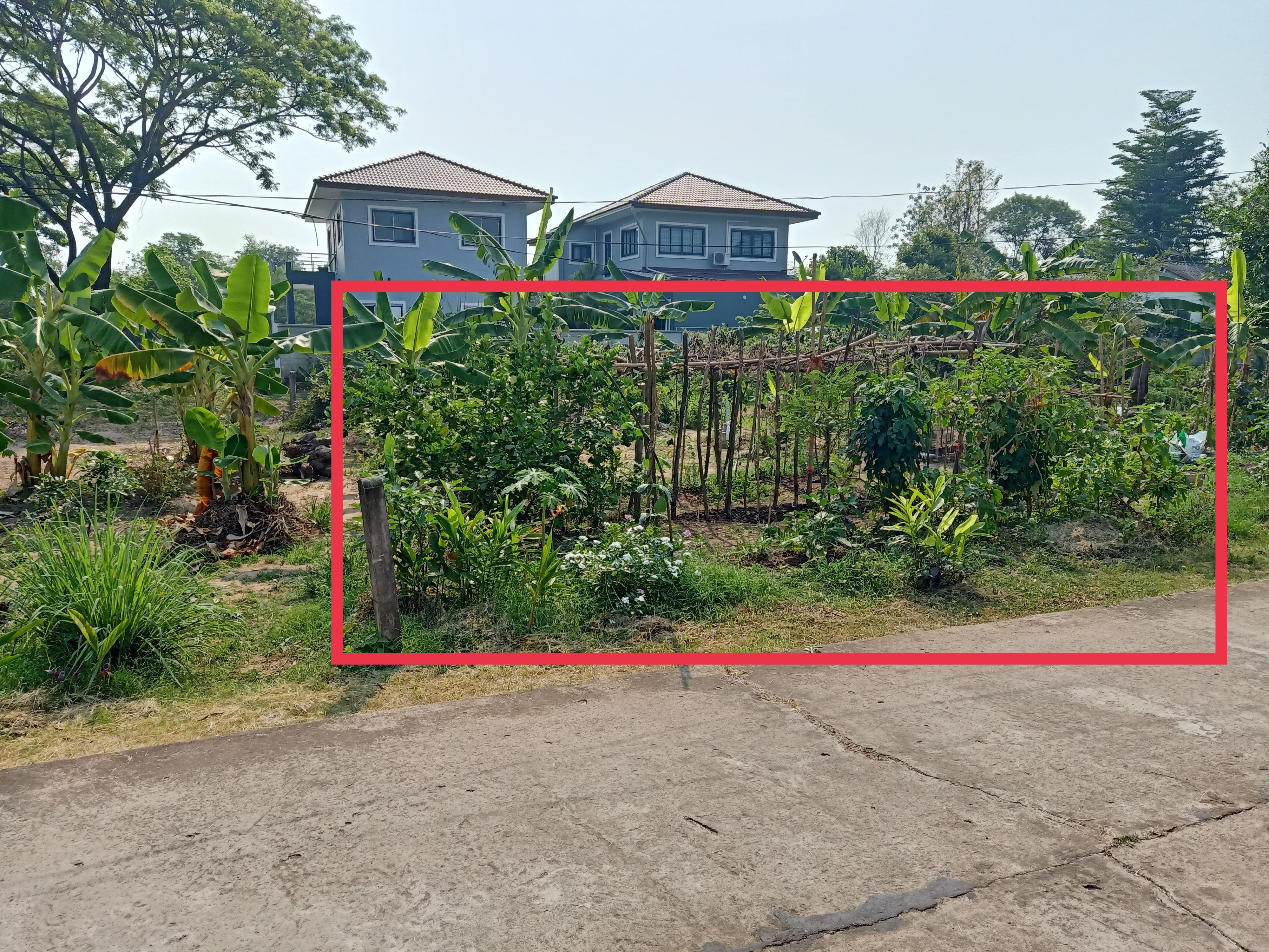 ต้องการขายที่ดิน พื้นที่ 90 ตร.ว. ในซอย เศรษฐี เทศบาลเมือง ชุมแพ อ.ชุมแพ จ.ขอนแก่น