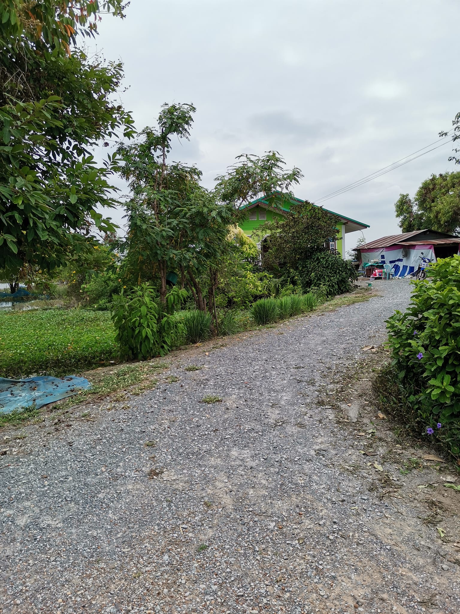 ขายบ้านนครปฐม เมืองนครปฐม 4-3-14