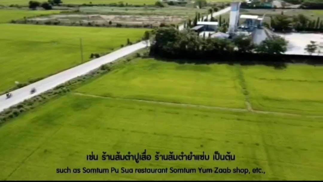 ขายที่ดินพิษณุโลก ที่ดินทำเลงาม เหมาะกับการประกอบกิจการสุดๆ เมืองพิษณุโลก 10-1-62.5