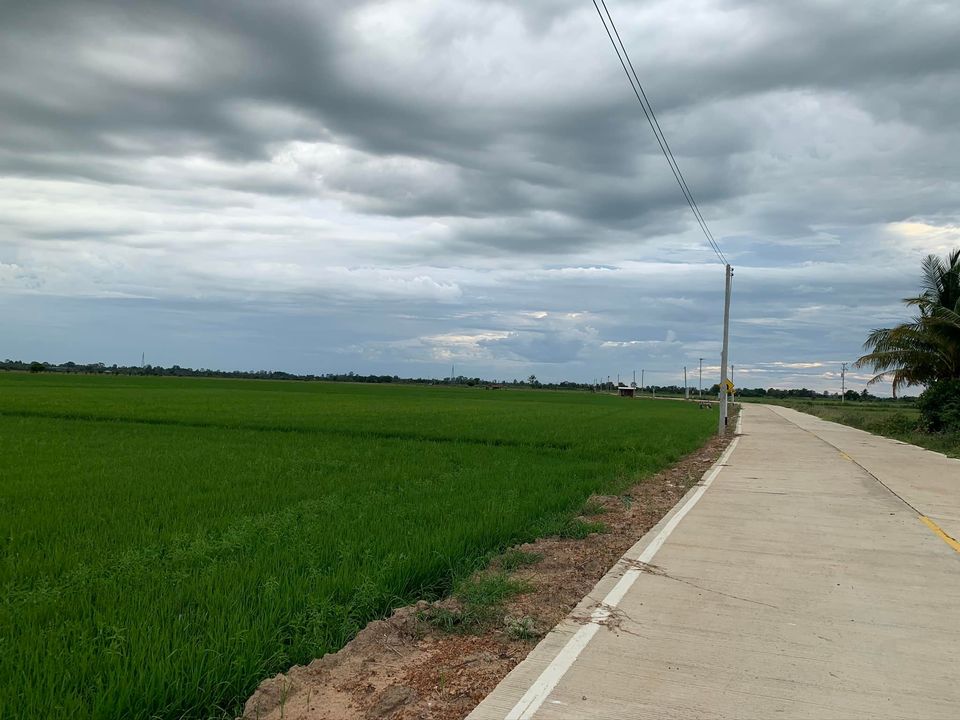 ขายที่นา ต.บึงพระ อ.เมืองพิษณุโลก จ.พิษณุโลก 1 ไร่