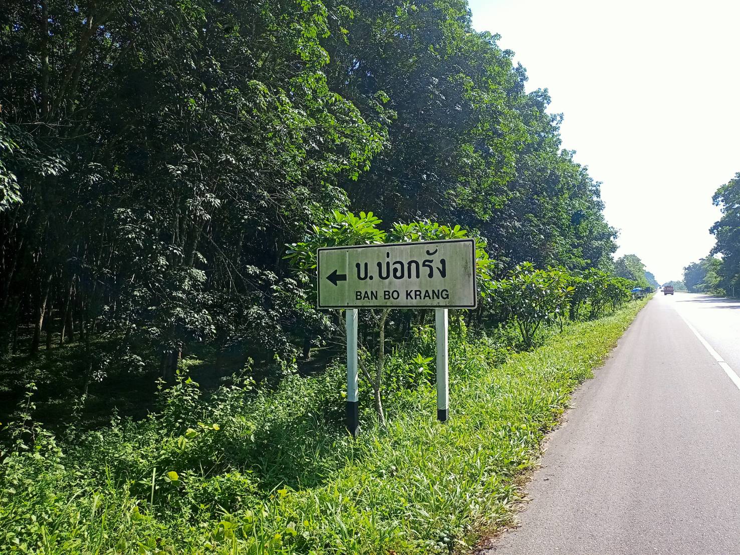 ขายที่ดิน สุราษฎร์ธานี 4-3-79.3 ไร่