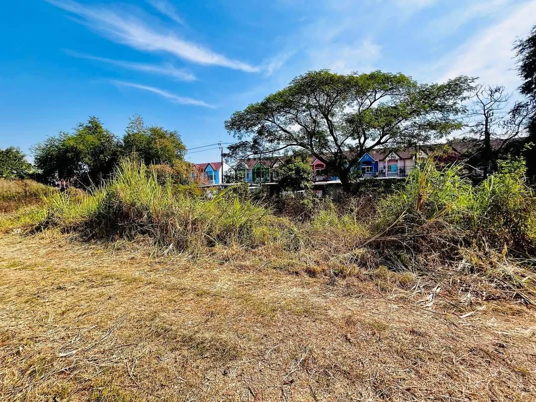 ที่ดินว่างเปล่า 100 ตรว หนองจอก ถนน มิตรไมตรี  950000  ผมเจ้าของขายเองครับ ถนนหน้ากว้าง 6 เมตา สนใจทักได้ครับ