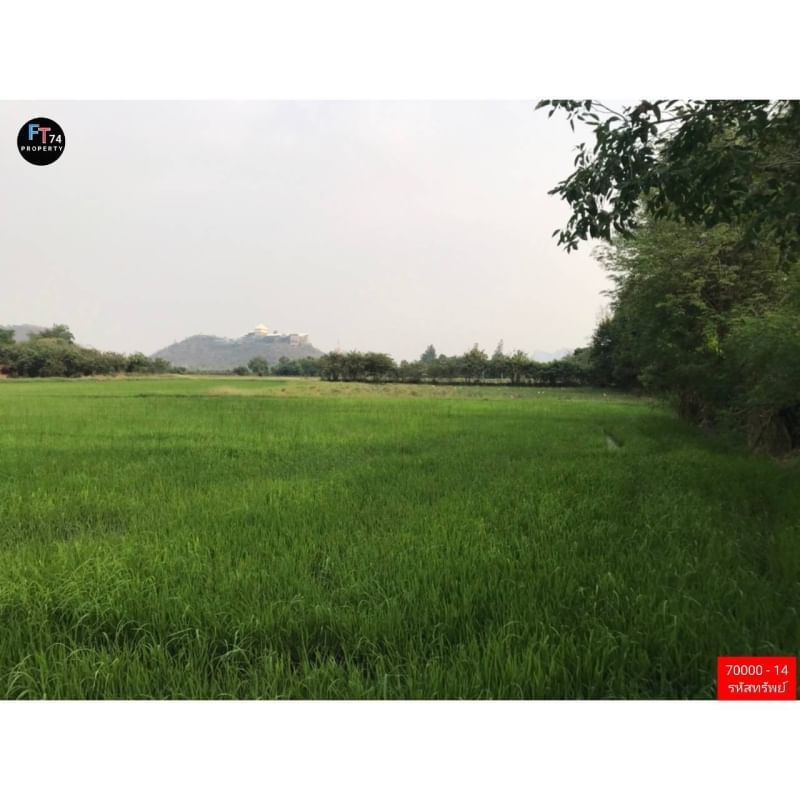 70000-14 ขายที่ดินสวย ล้อมรอบด้วยธรรมชาติ และ ภูเขา 