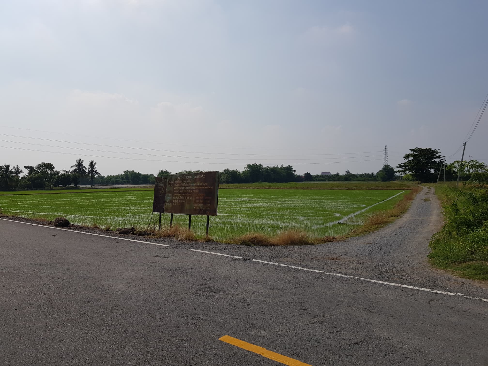 ที่ดินเปล่า อ.ศรีประจันต์ จ.สุพรรณบุรี 2-0-64