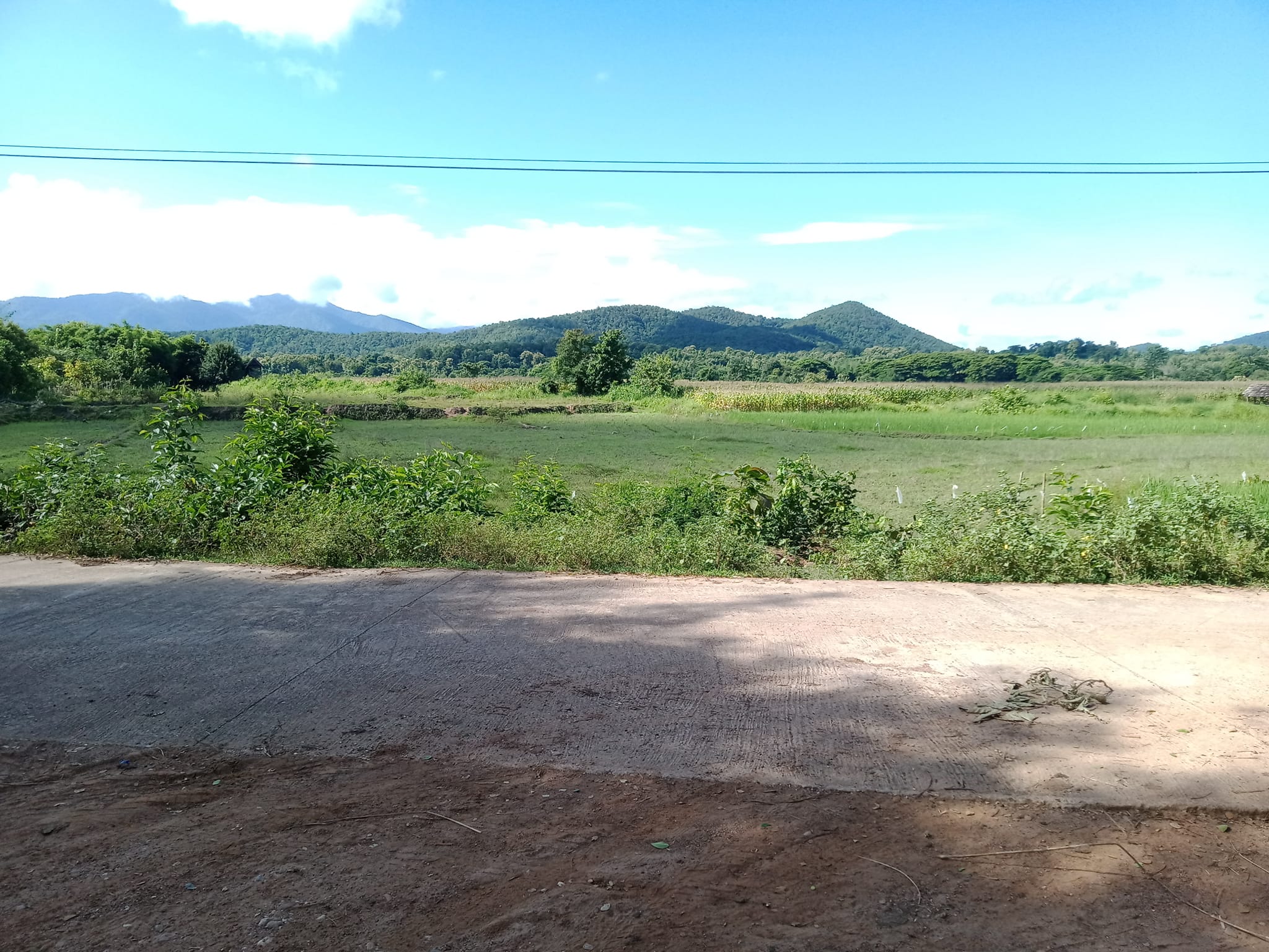 ขายที่ดินลำปาง แม่ทะ 4-3-30