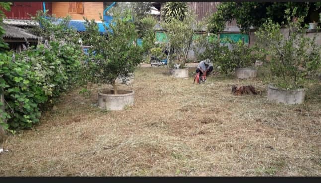 ขายที่ดิน แม่ฮ่องสอน 34 ตรว.