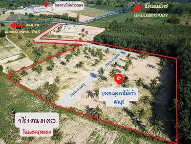ที่ดินเปล่าบางละมุง 9-1-81