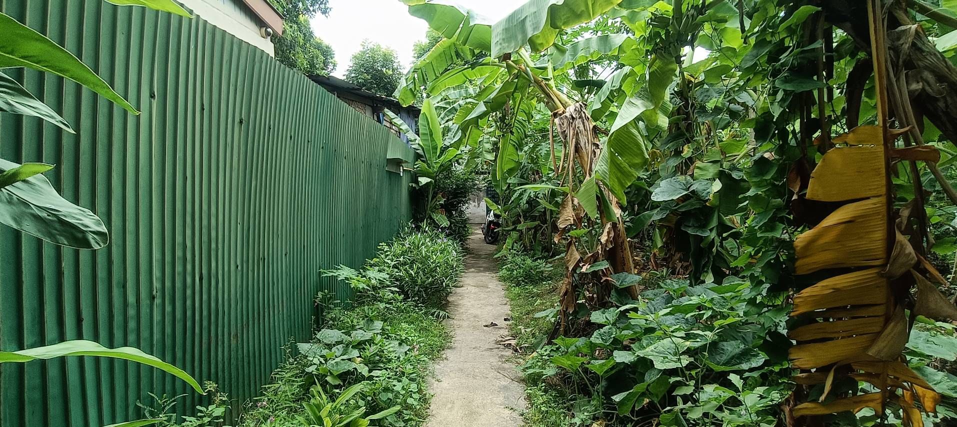 ขายที่ดินใกล้เดอะมอลท่าพระ 120 ตารางวา
