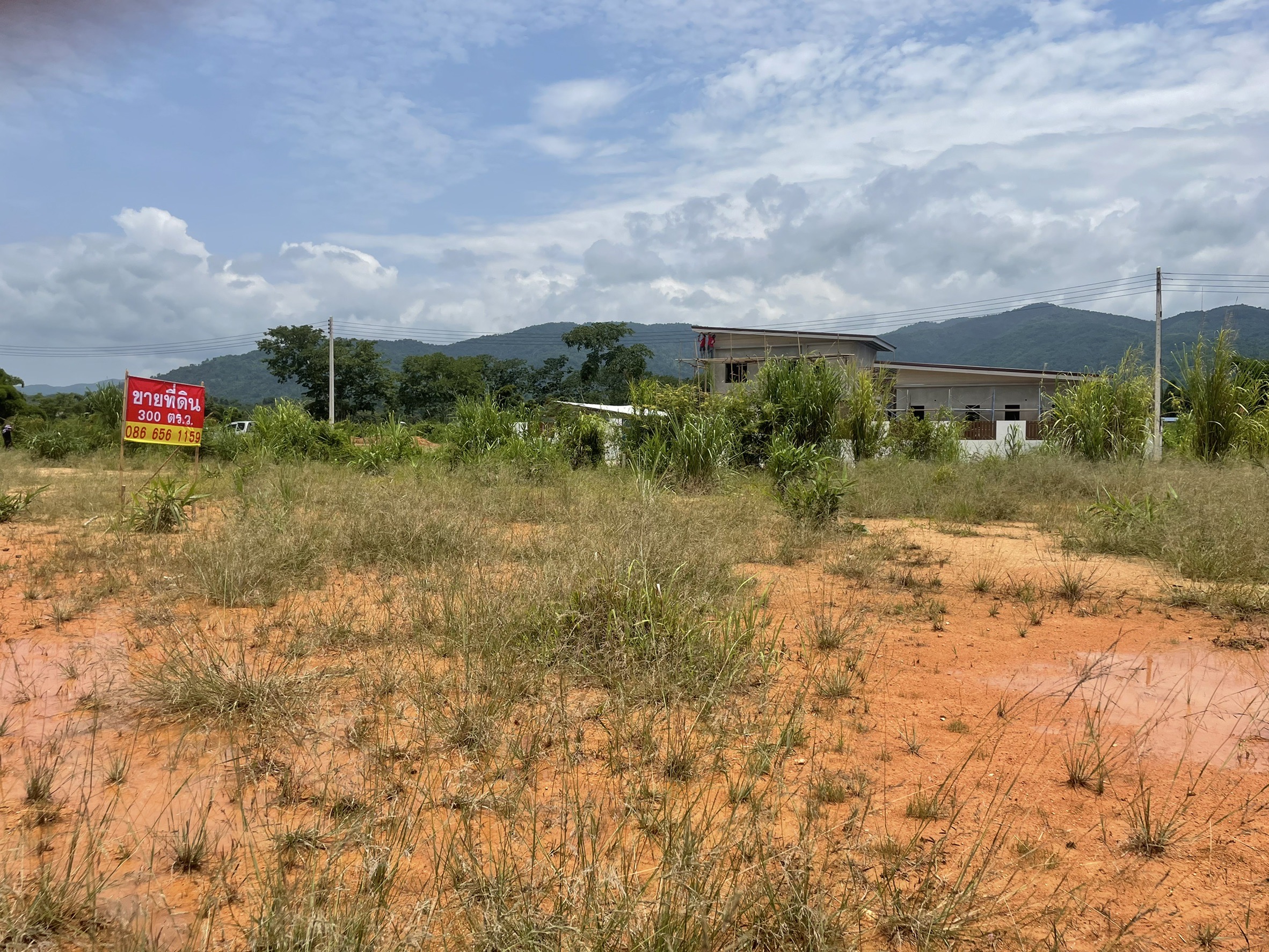 ที่ดินเปล่ามีที่งอก เชียงราย 288 ตร.ว