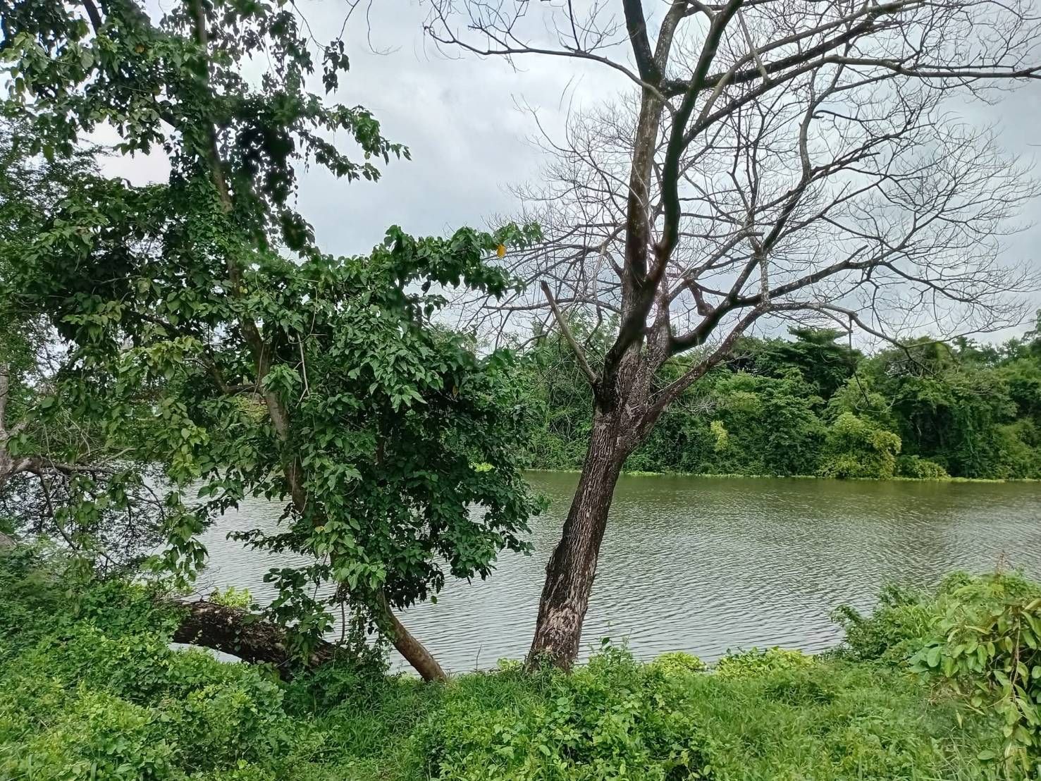 ที่ดินสวยติดแม่น้ำป่าสัก 3 ไร่ มีโฉนด มีถนนเข้าออกส่วนตัว 