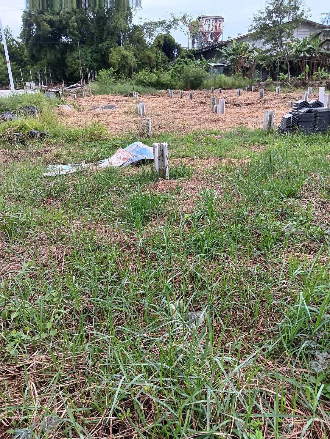 ที่ดินจัดสรรพร้อมสร้างบ้าน