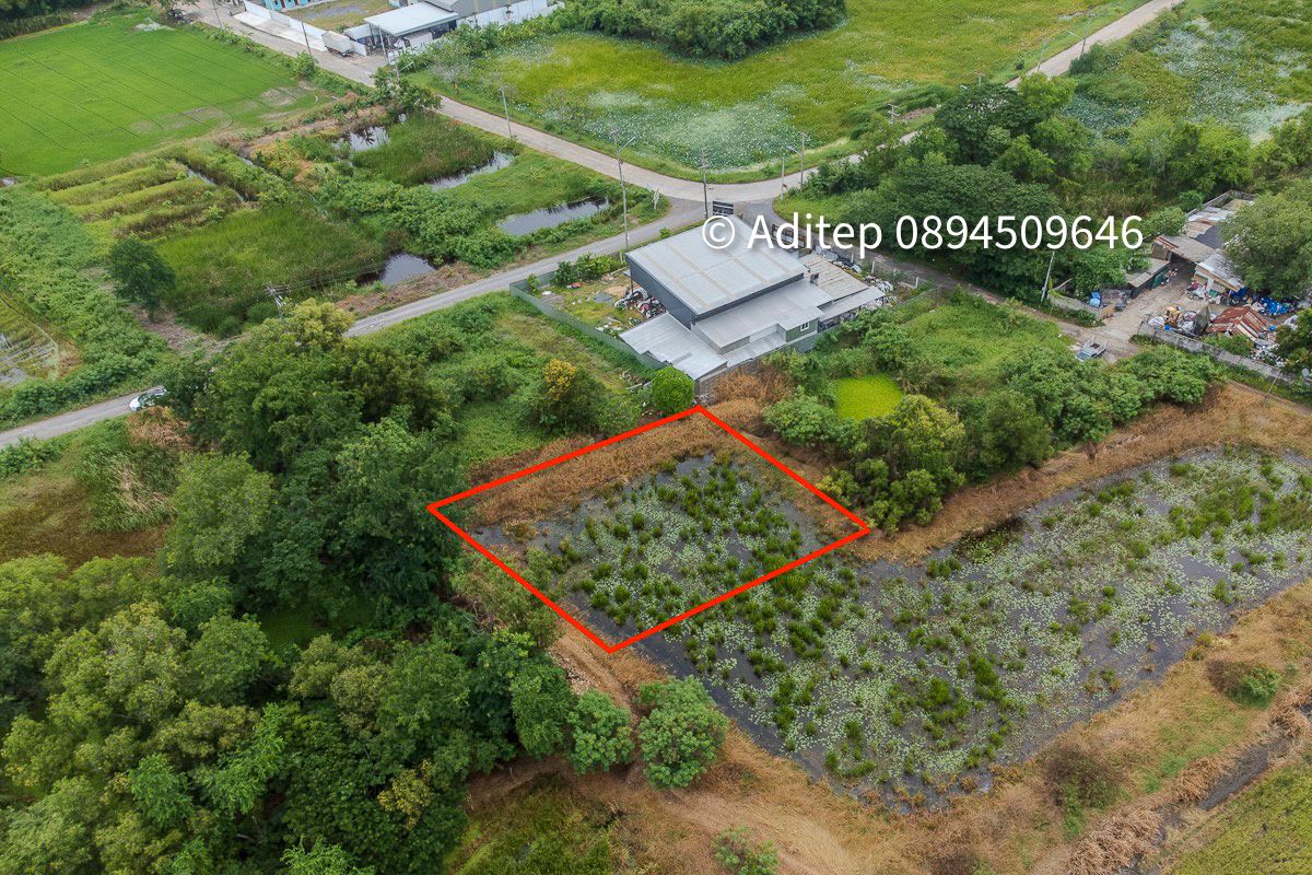 ขายด่วน! ที่ดินเปล่า 317 ตร.ว. คลองโยง-พุทธมณฑล ราคาดีใกล้เคียงราคาประเมิน ใกล้มหิดล ศาลายา เดินทางเข้ากรุงเทพสะดวก!