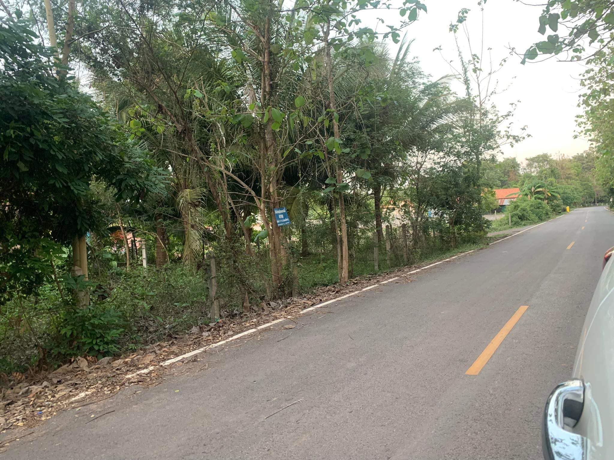 ขายที่ดินสกลนคร 0-1-17