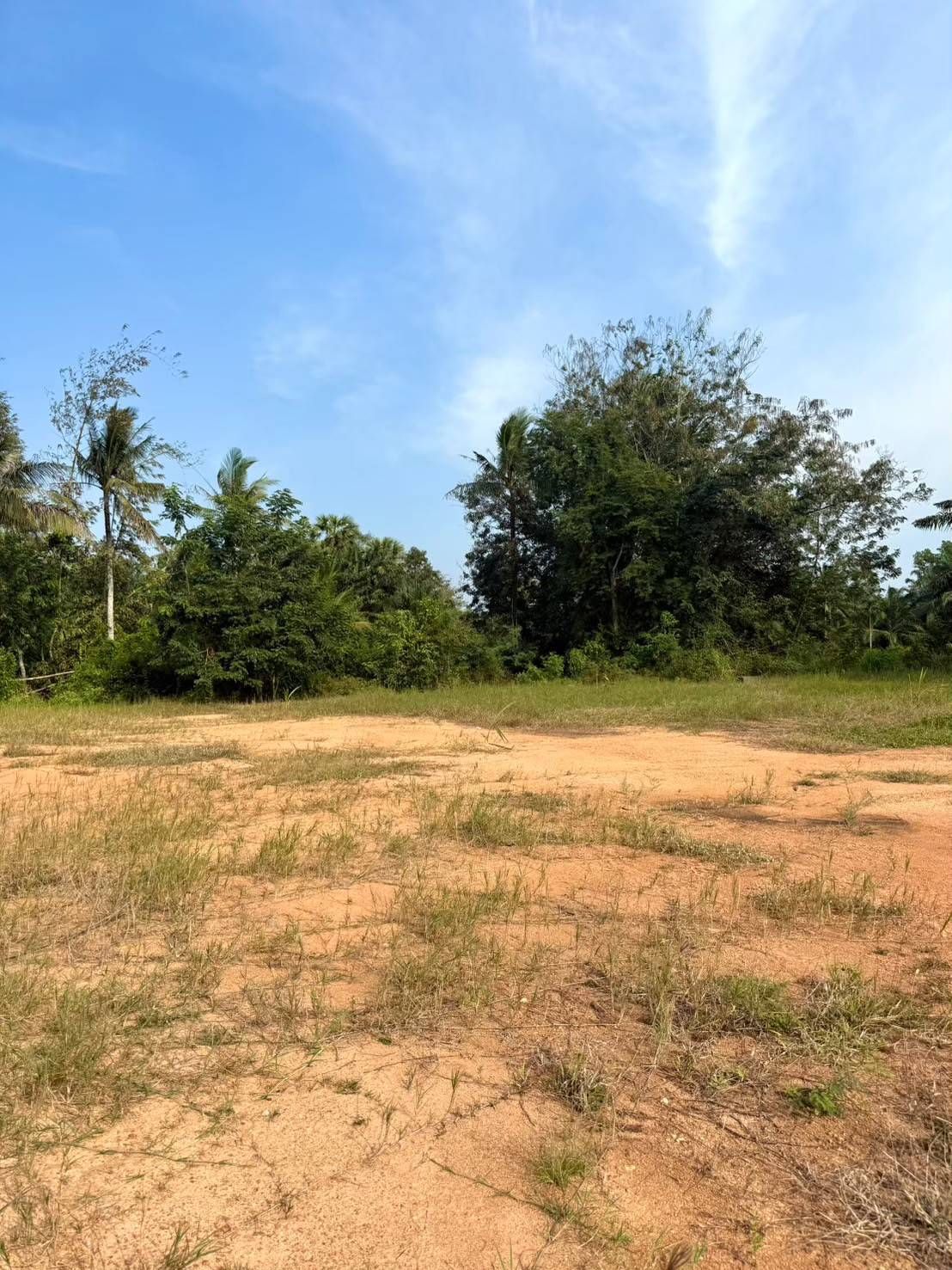 ขายที่ดินสุราษฎร์ธานี พุนพิน ที่ดินทำเลดี เหมาะลงทุน 2-3-75 ไร่.