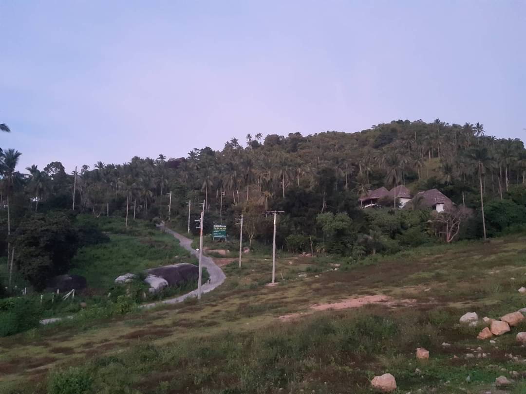 ขายที่ดิน พร้อมสิ่งปลูกสร้าง ที่เฉวงน้อย ซอยโรงเรียนปัญญาดี เกาะสมุย เนื้อที่ 2-0-31.3 ไร่