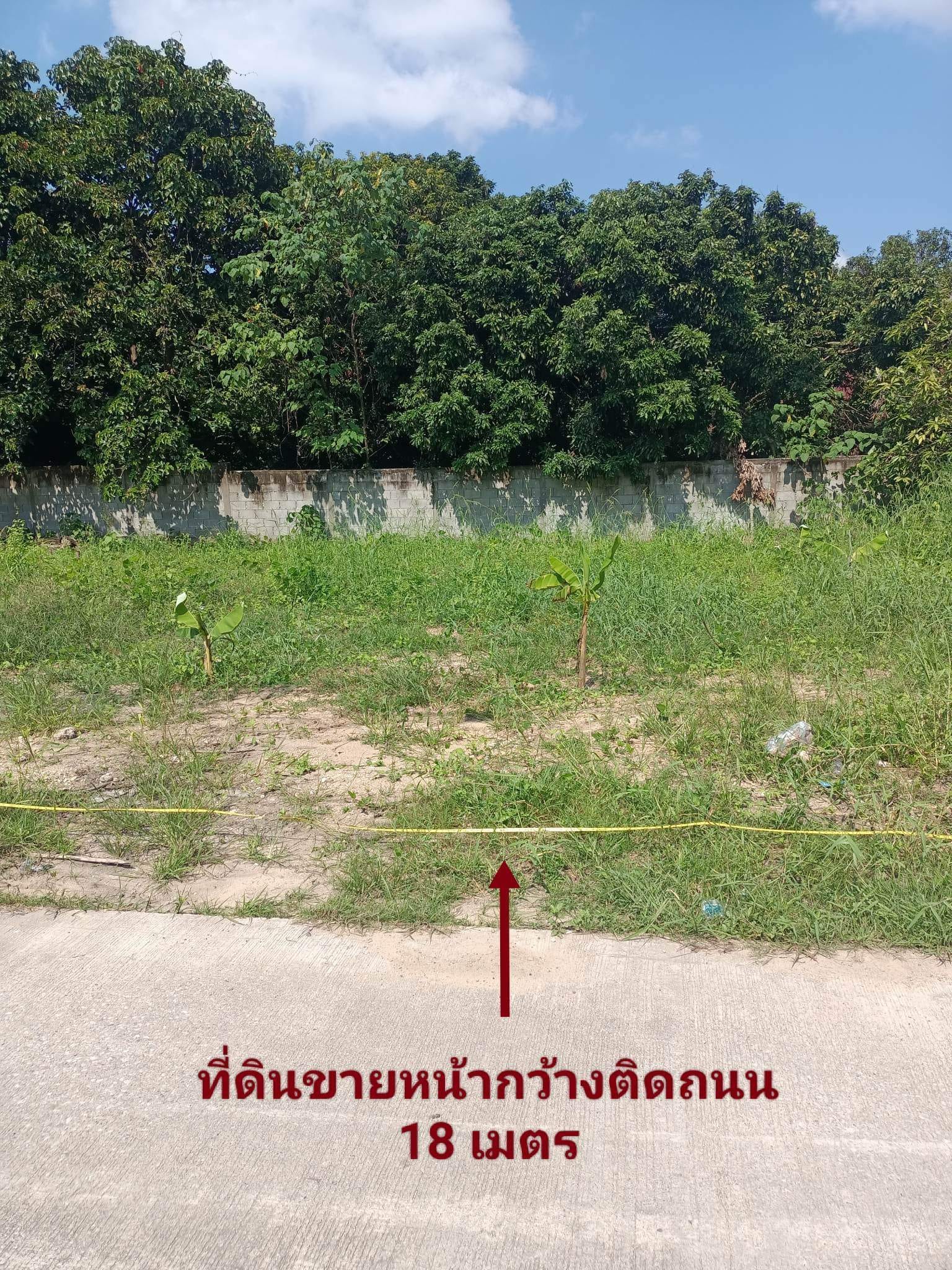 ขายที่ดิน ตาก 78.5 ตรว.