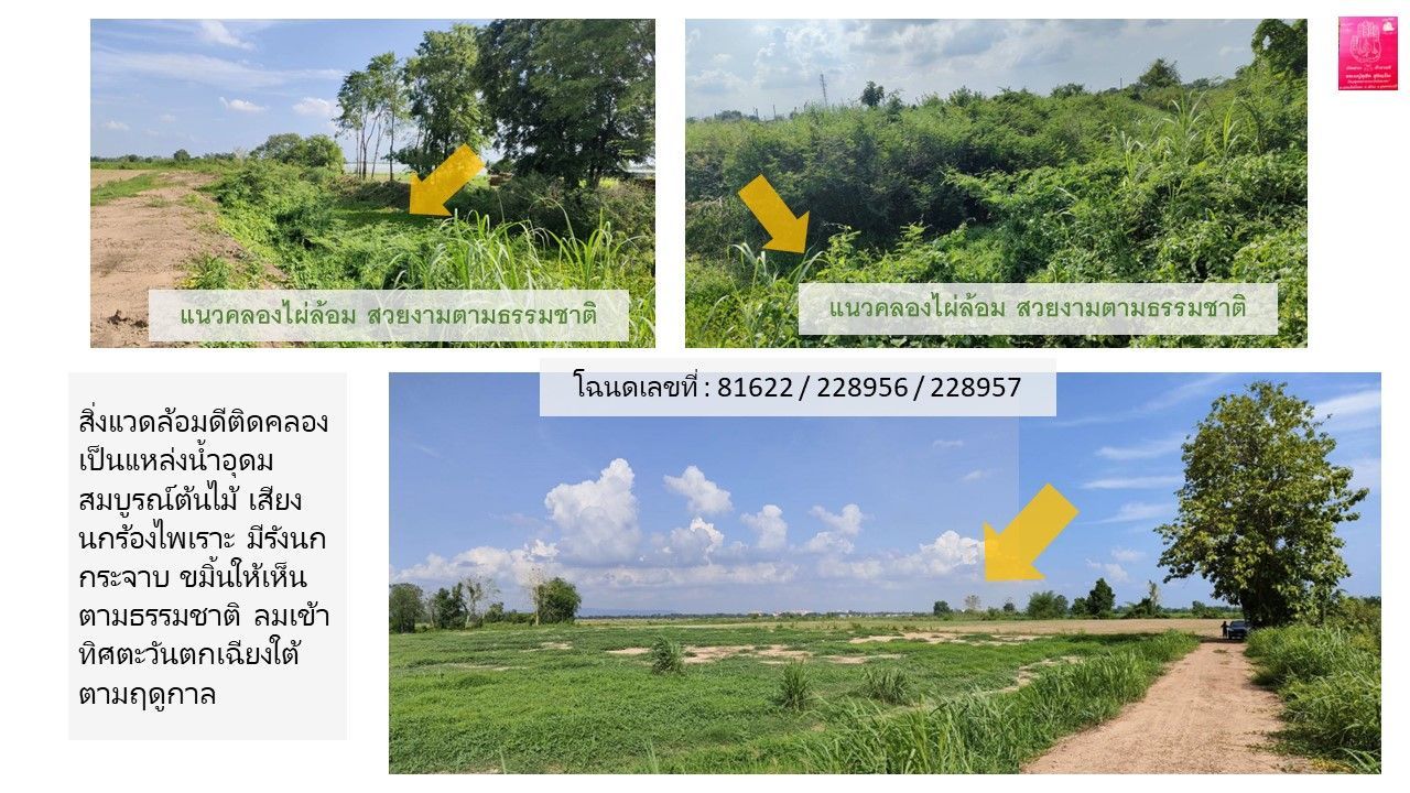 ขายที่ดิน บึงพระ เมืองพิษณุโลกทำเลดี ติดคลองสาธารณะธรรมชาติสิ่งแวดล้อมรับลมดี  