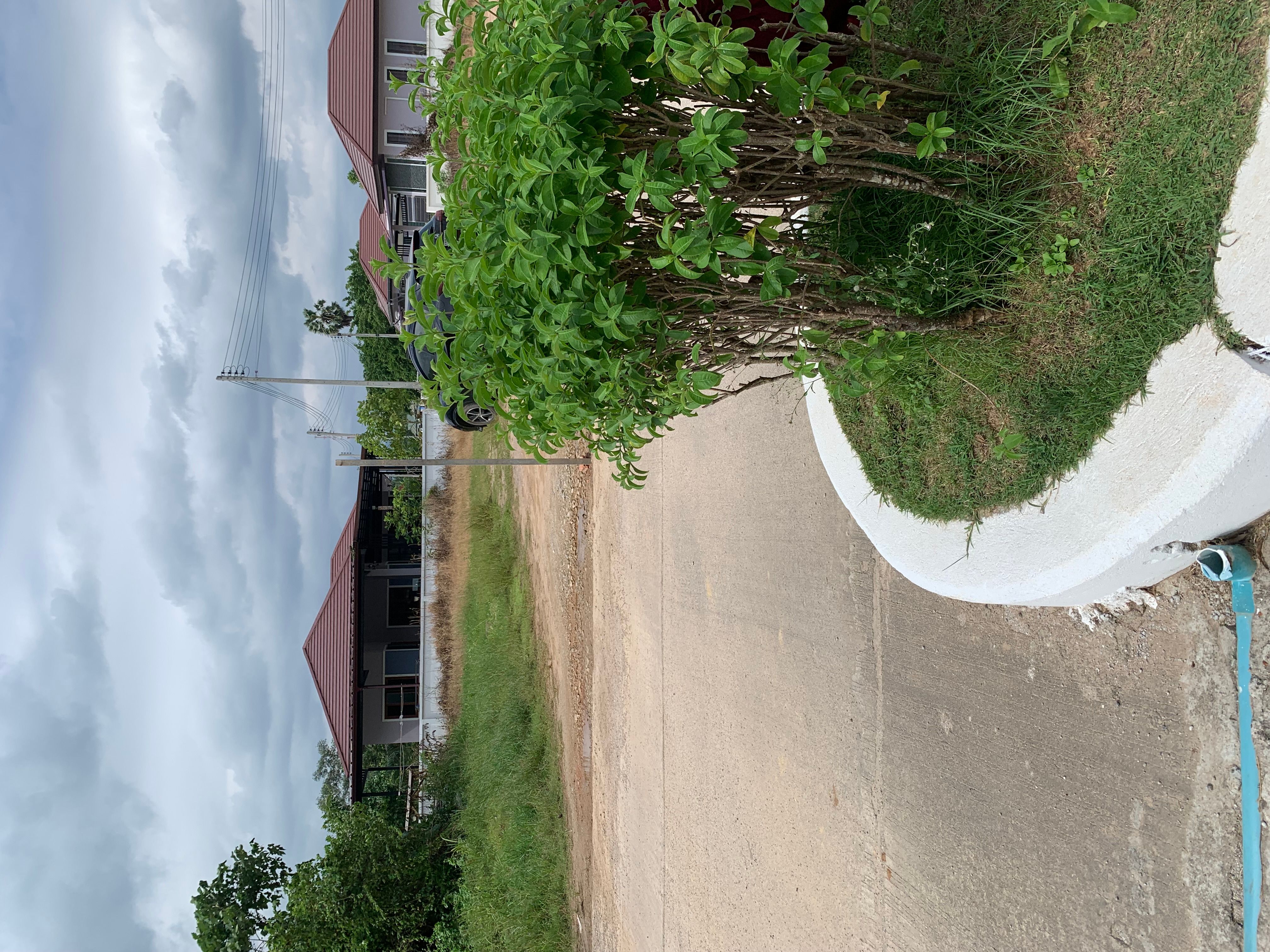 ขายที่ดินติดโรงเรียนขนอมพิทยา