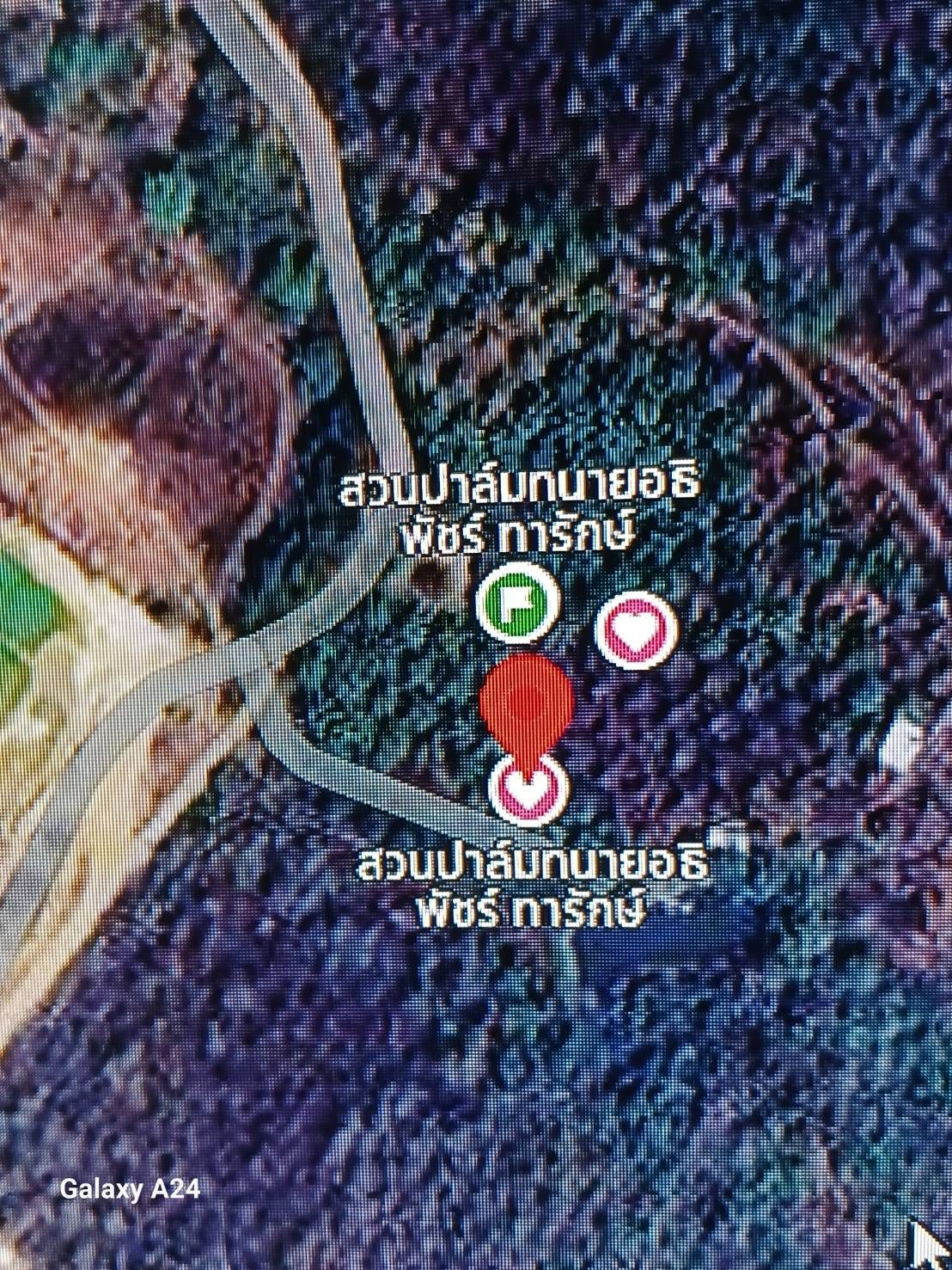 ขายที่ดินสวนปาล์ม 200 ต้น บ้านเล็กชั้นเดียว พร้อมห้องน้ำ 7 หลัง 
