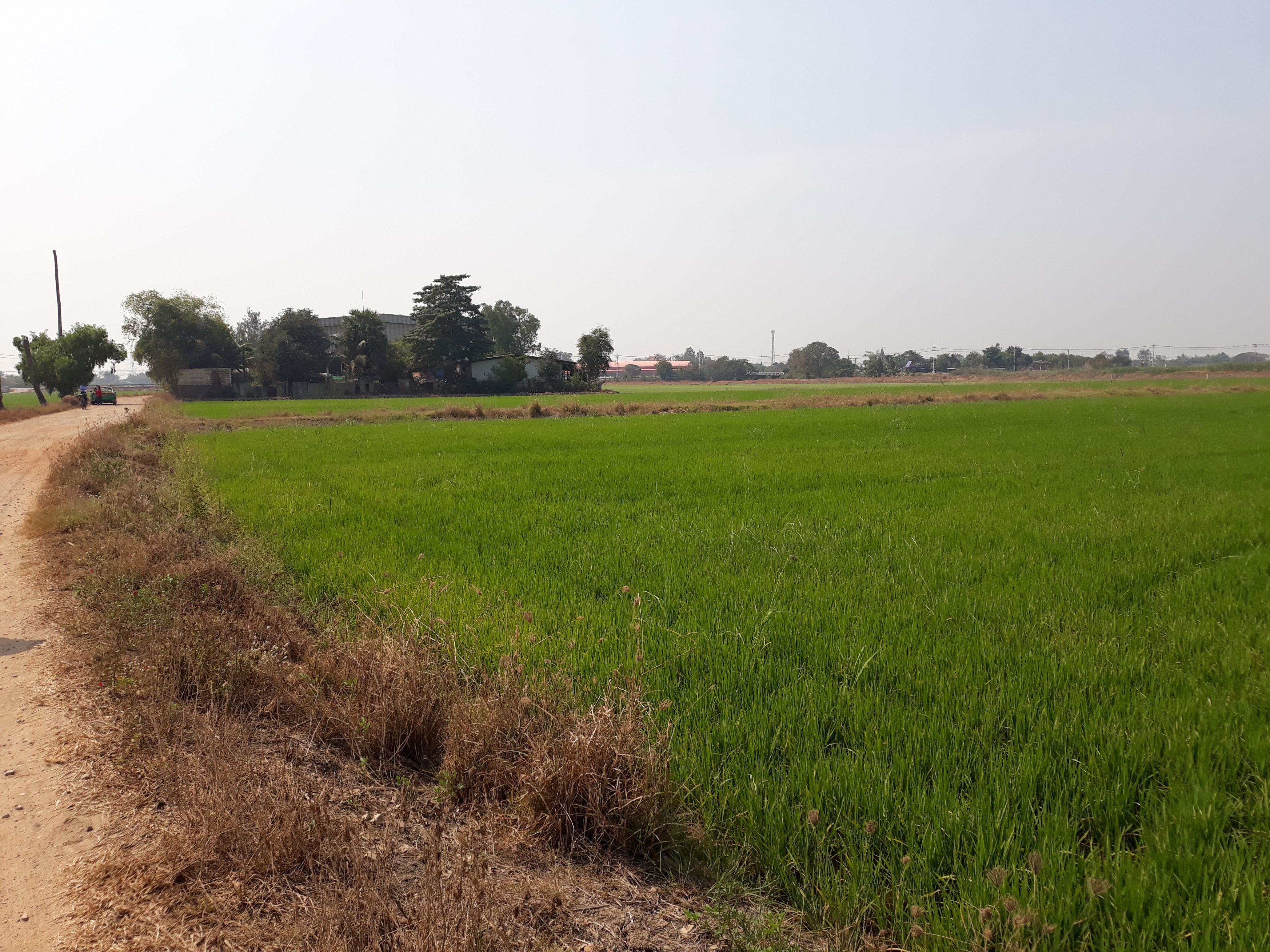 ที่ดินเจ้าของขายเองจังหวัดปทุมธานี