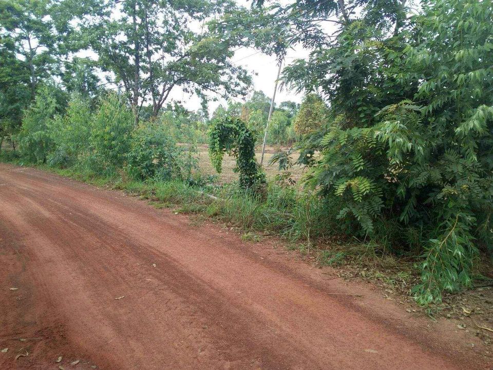 ที่นา 24ไร่   ติดห้วยตาเทียว บ้านตุ ต.กาบิน อ.กุดข้าวปุ้น อุบล