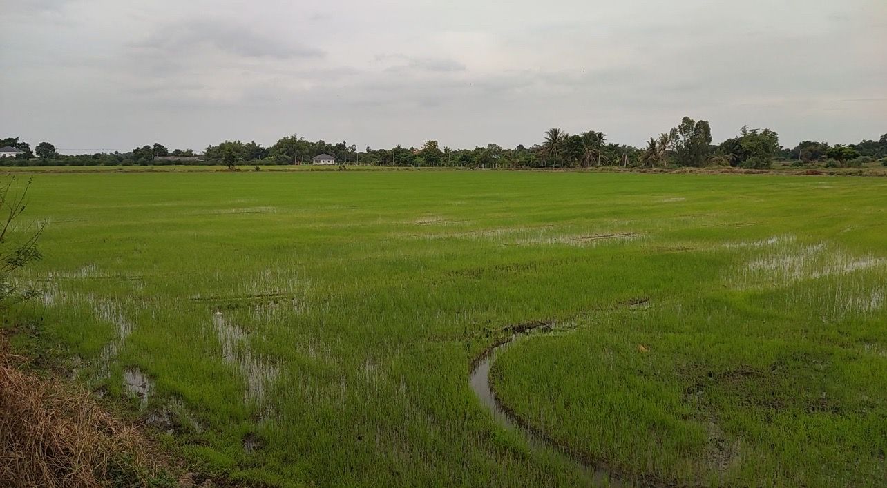 ที่ดิน 4 ไร่ ติดถนน 2 ด้าน ใกล้นิคมอุตสาหกรรม WHA ใกล้ถนนมิตรภาพ หนองแค สระบุรี
