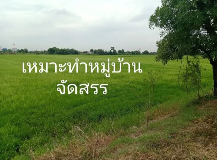ขายที่ดินนครปฐม บางเลน แปลงมุมเหมาะทำหมู่บ้าน 69-0-36 ไร่