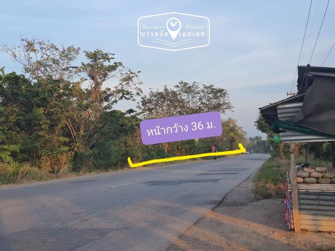 ติดถนนใหญ่  เนื้อที่ 4-1-78 ไร่ อำเภอบางน้ำเปรี้ยว จังหวัดฉะเชิงเทรา