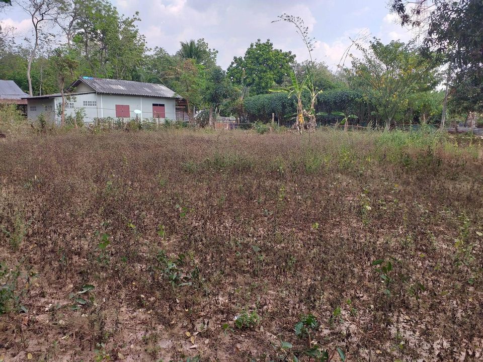 ที่ดิน อ.แวงใหญ่ ขอนแก่น 395 ตรว.
