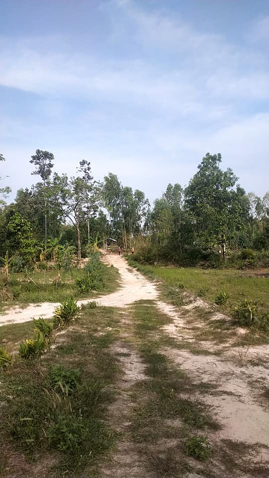 ที่ดิน ใกล้ห้วยมีน้ำทั้งปี ตาลสุม อุบลราชธานี 20 ไร่
