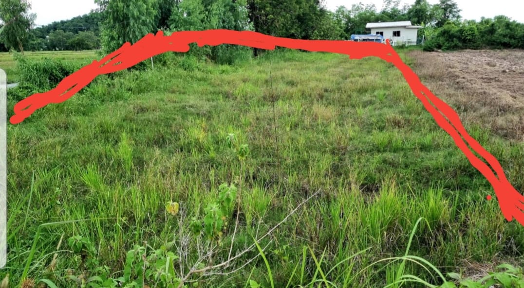 ที่ดินเปล่า แก่งคอย สระบุรี 0-2-69