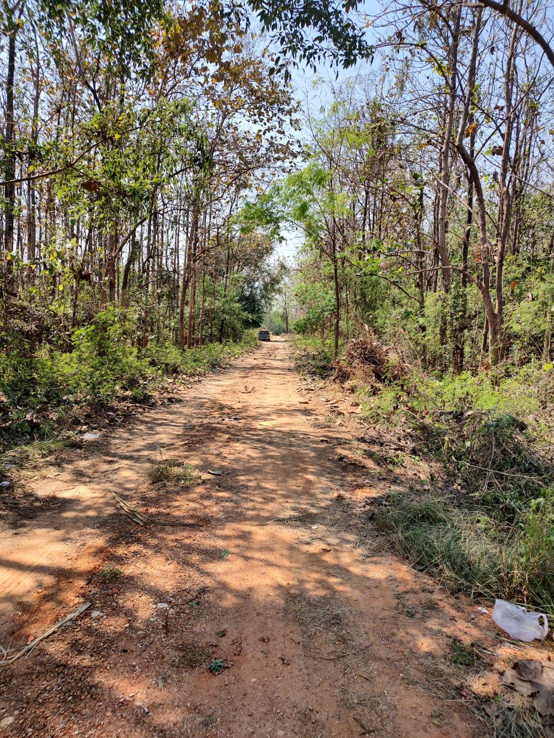 ขายที่ดินอุทัยธานี แปลงสวย เหมาะปลูกบ้าน บ้านไร่ อุทัยธานี