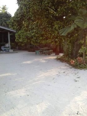 บ้านพร้อมที่ดินเป็นสวนผลไม้ นครศรีธรรมราช 1-2-32