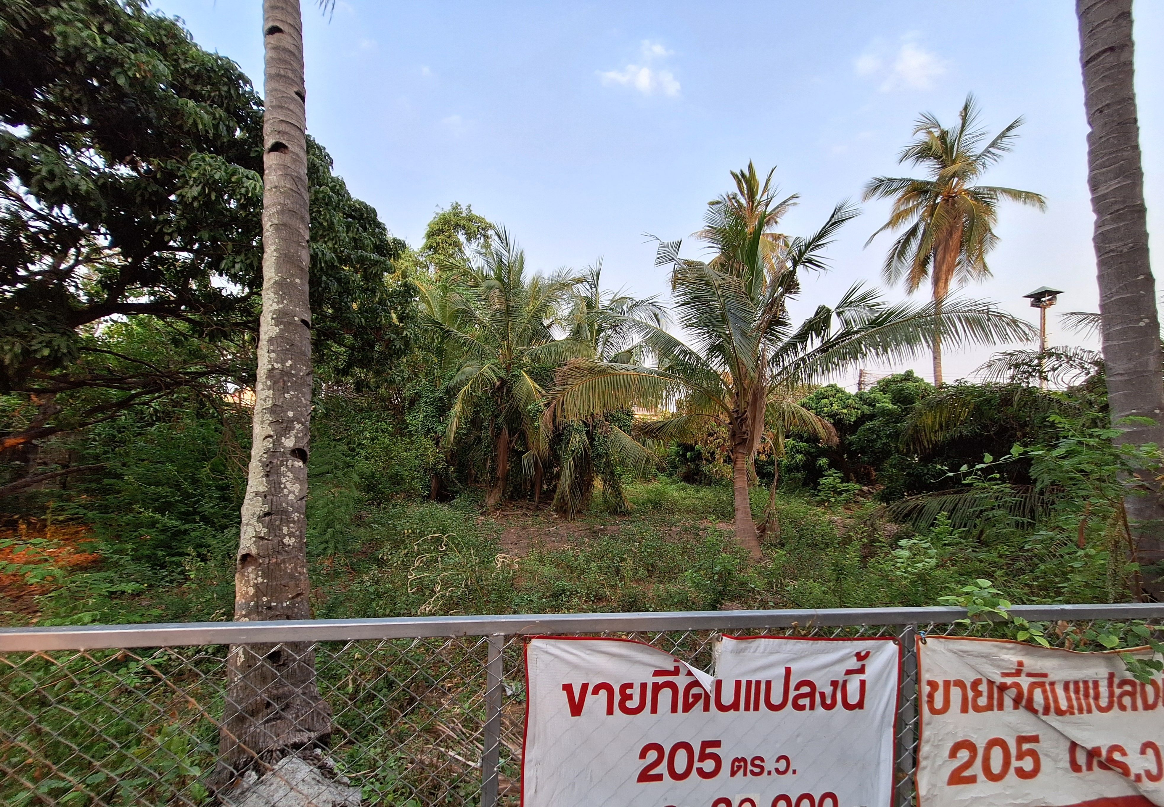 ขายที่ดินทำเลดีเชียงใหม่ ติดย่านการค้า