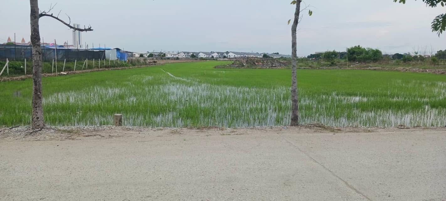 ที่ดินเปล่าสวยๆ