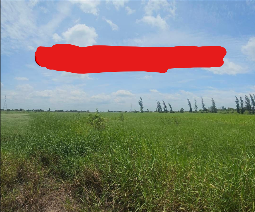 ขายถูกที่ดิน 23 ไร่ อยุธยา บางปะอิน ติดถนนสายเอเชีย ขาเข้ากรุงเทพฯ