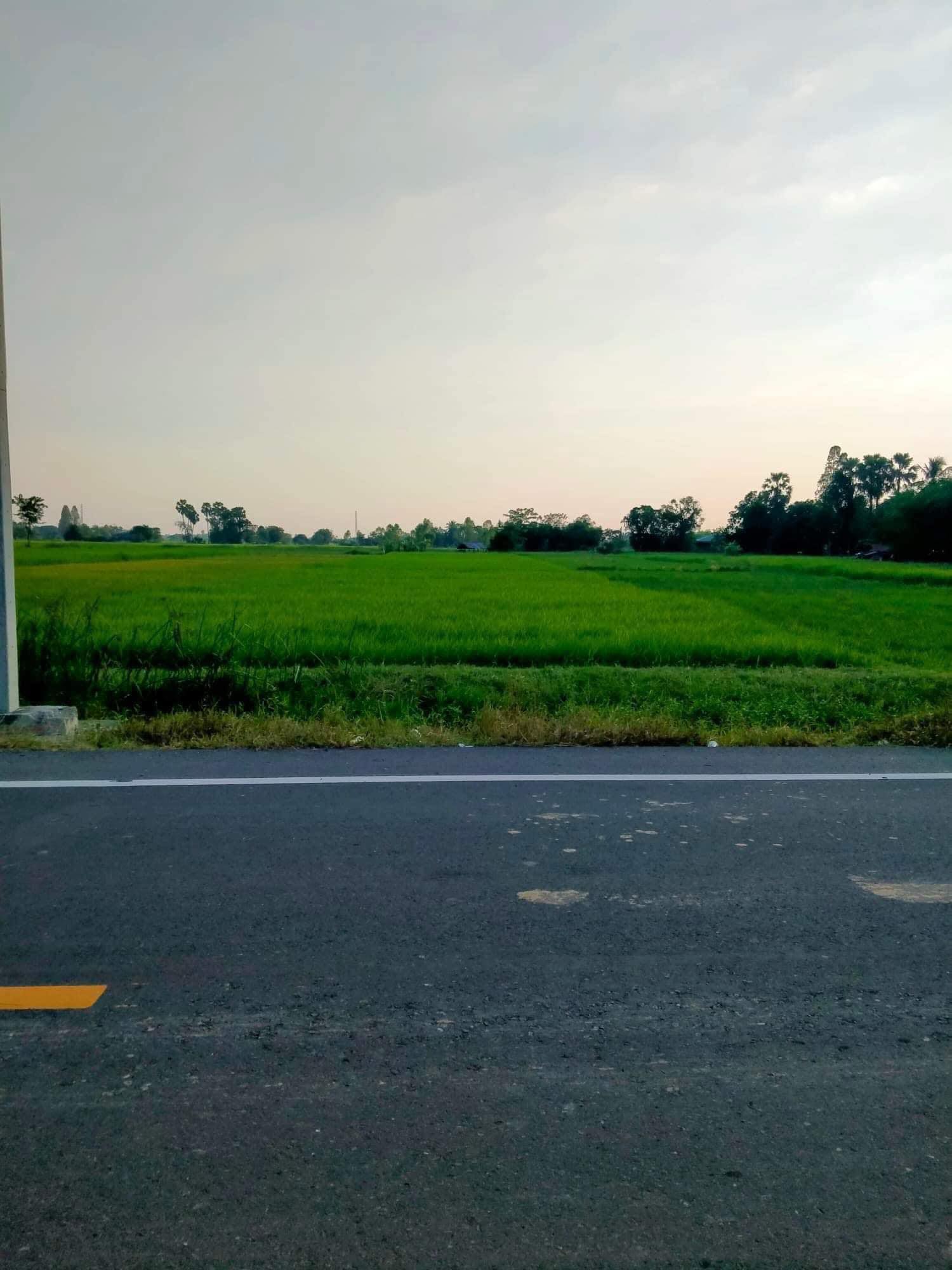 ขายที่กินกาฬสินธุ์ เมืองกาฬสินธุ์ 2-1-9