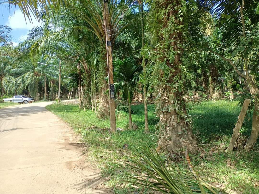ขายที่ดิน ชุมพร 0-1-33.2 ไร่