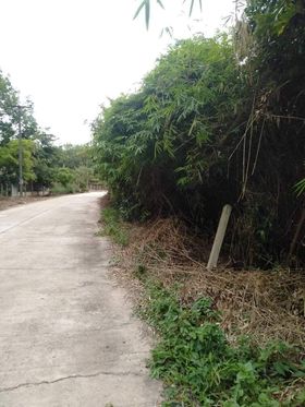 ที่ดินเปล่าในตัวเมืองบึงกาฬ  2-1-11