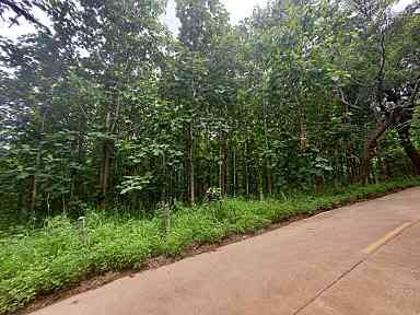 ขายที่ดิน สะเมิง เชียงใหม่ 11-2-62 ไร่