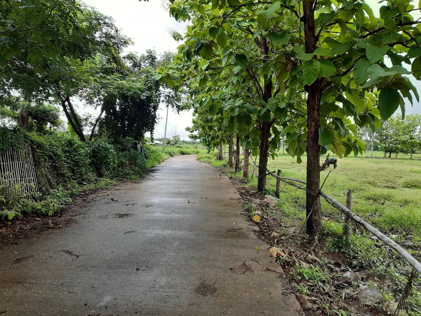 ที่ดินเปล่า เมืองลำปาง 2-2-8.9