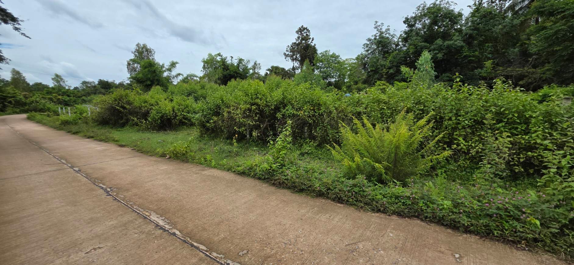ขายที่ดินอุบลฯ เดชอุดม
