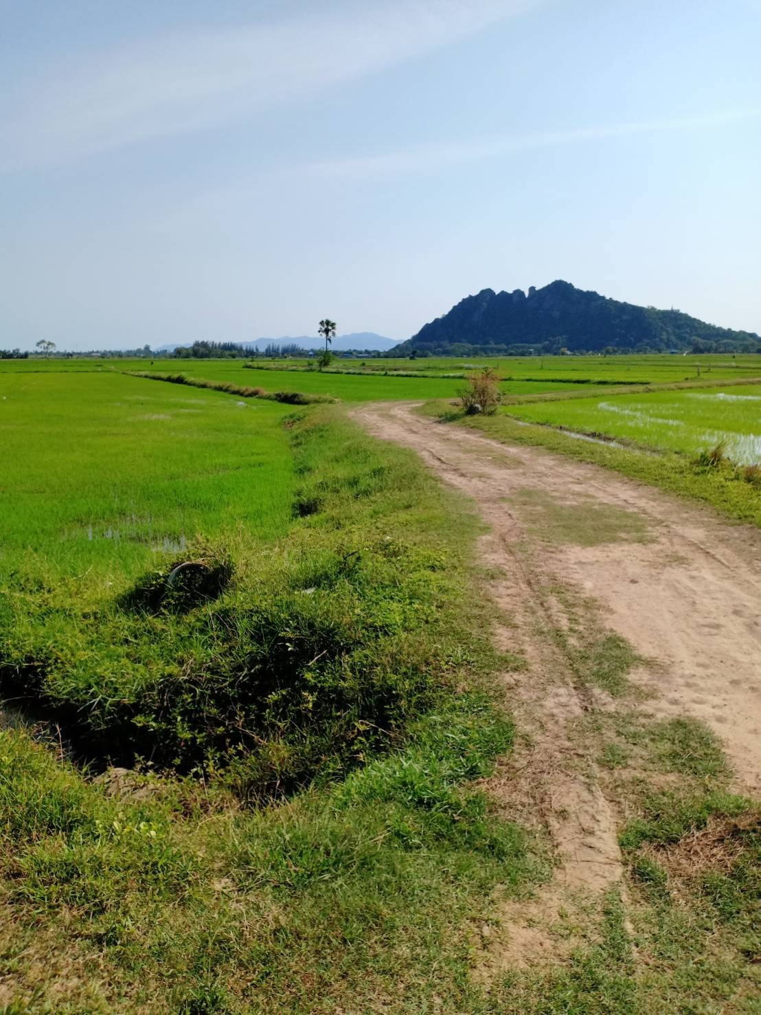 ที่ดินเปล่า ที่นา เพชรบุรี 3-2-58