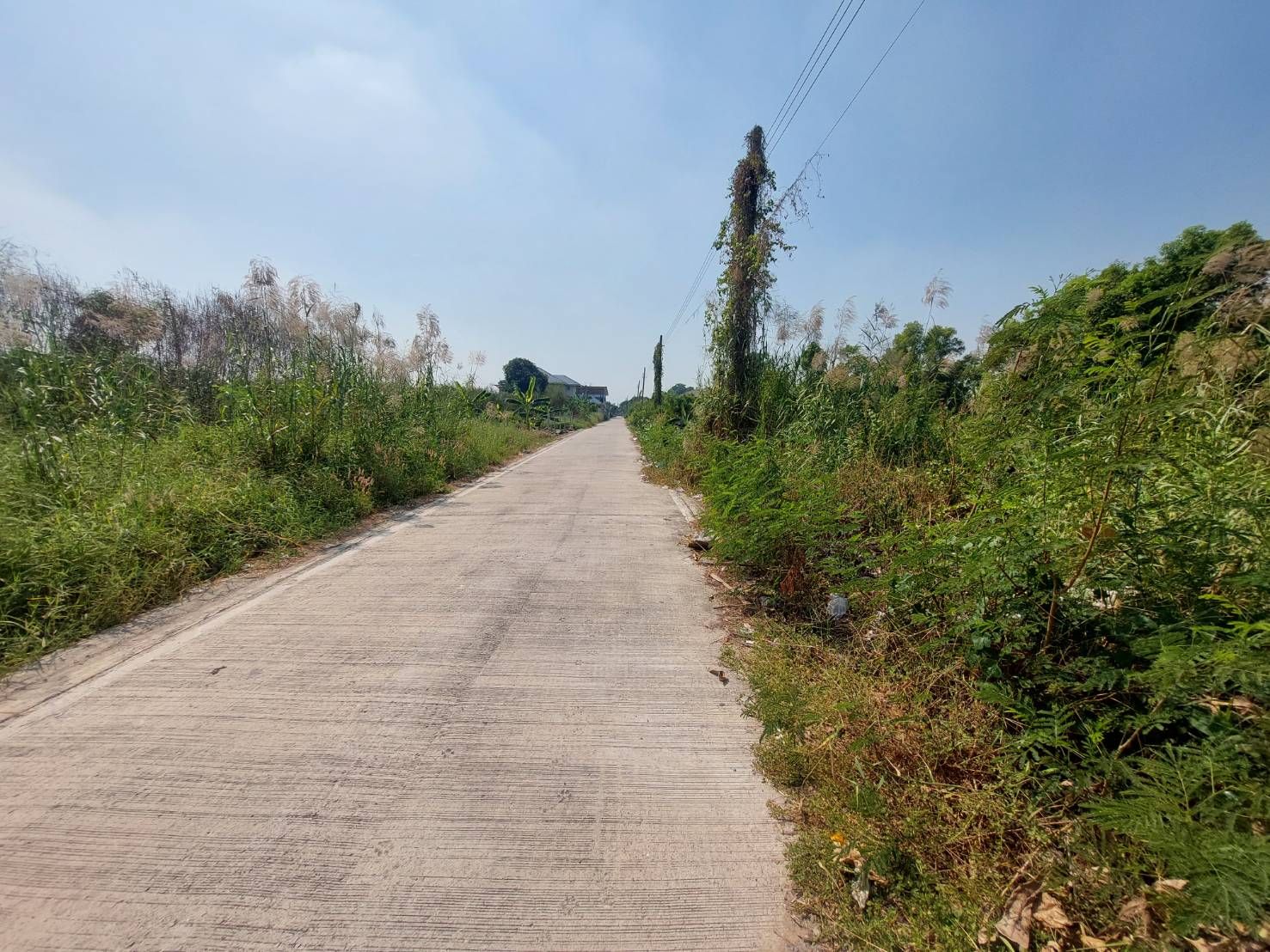 ขายที่ดิน 103 ตร.ว ซอยปลาหมึก บางบัวทอง นนทบุรี ใกล้แม็คโครบางบัวทอง